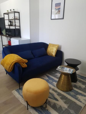 **Le Cosy Blue** hypercentre - wifi - clair - calme